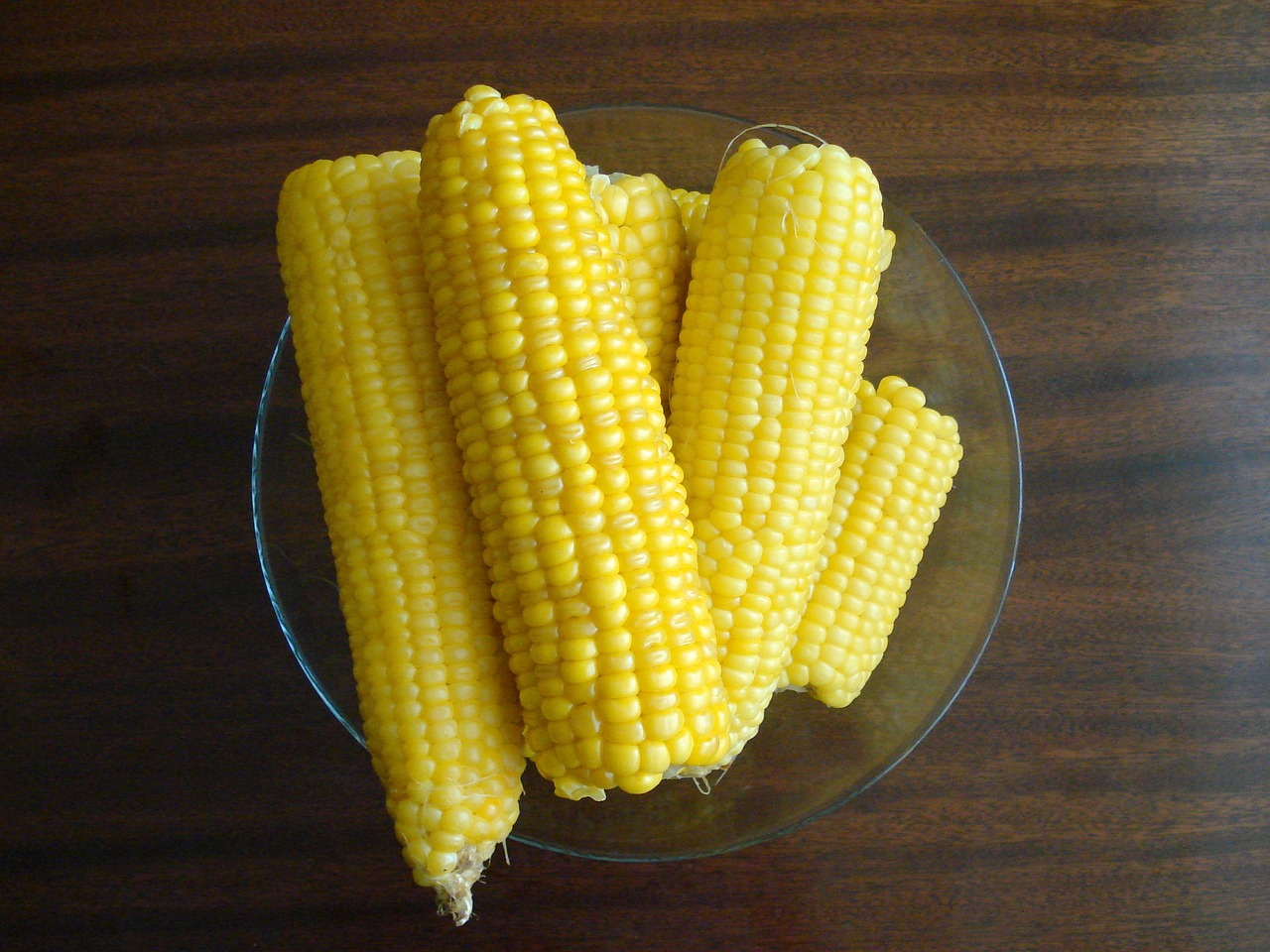 Corn picture